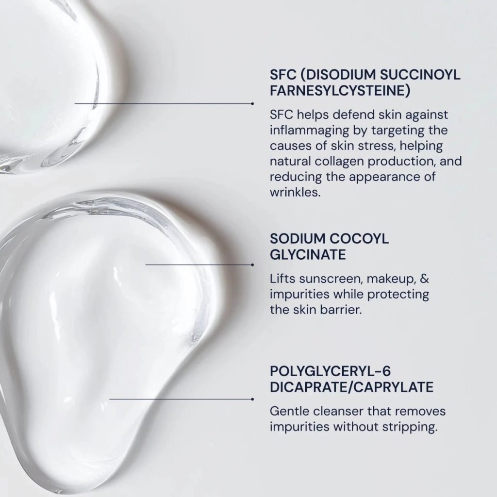 Gentle Cleanser Key Ingredients