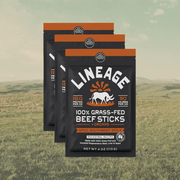 Lineage Ancestral Beef Sticks – Spicy Southwest (3-Pack)