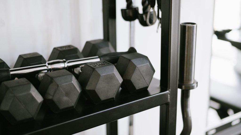 A row of dumbbells resting on a rack in a gym