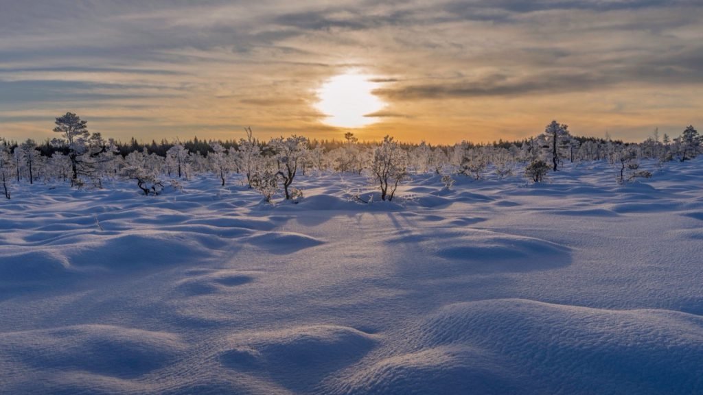 A low sun just above the horizon over a snow-covered field