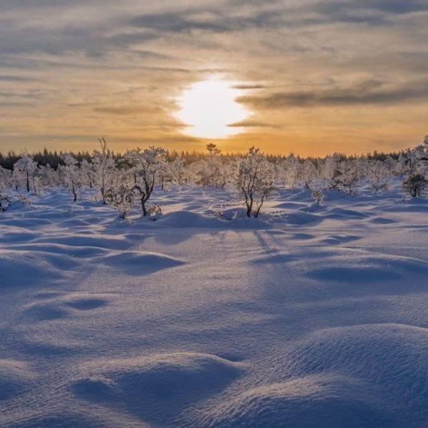 A low sun just above the horizon over a snow-covered field